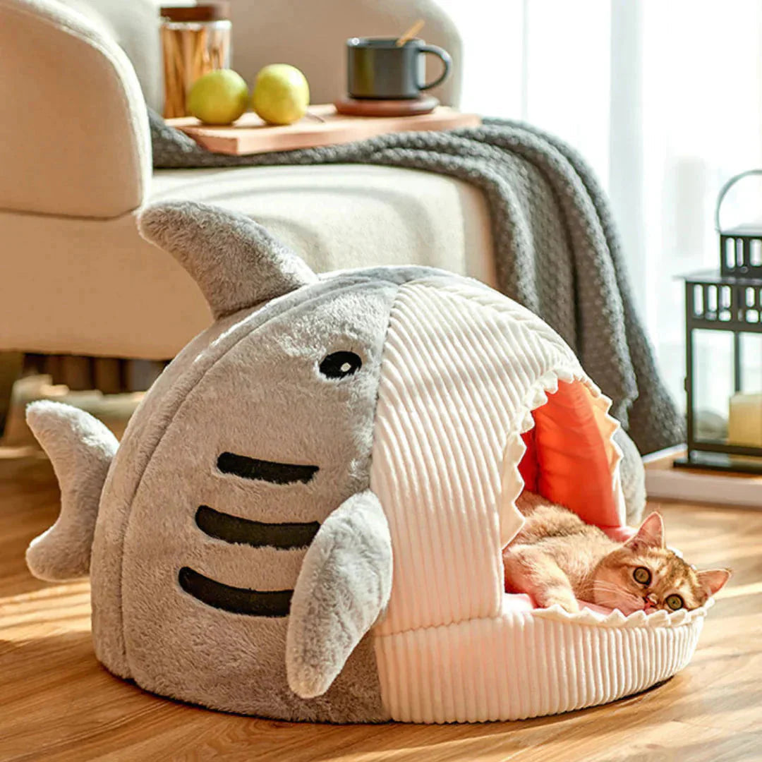 BedShark