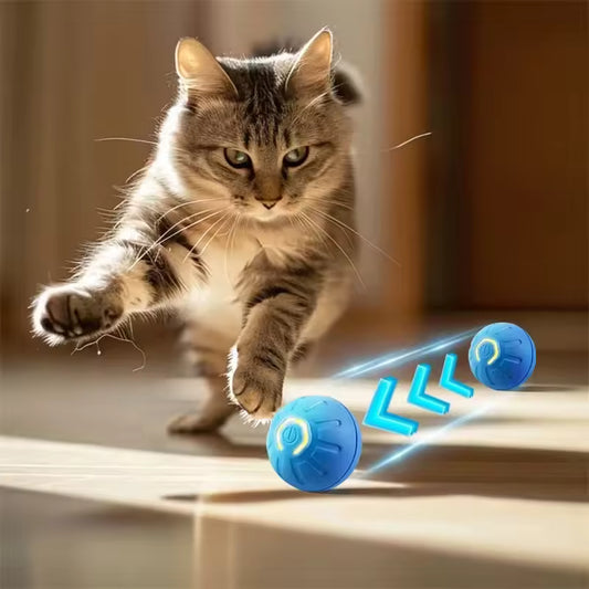 PawPlay Ball